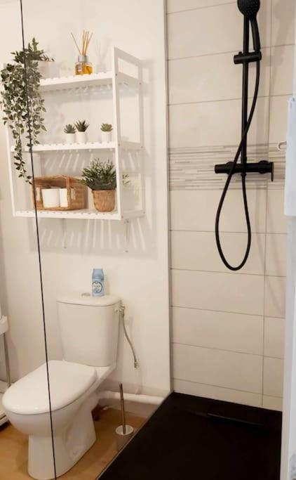 Les Coteaux De Mahe Apartment Турнон-сюр-Рон Екстериор снимка